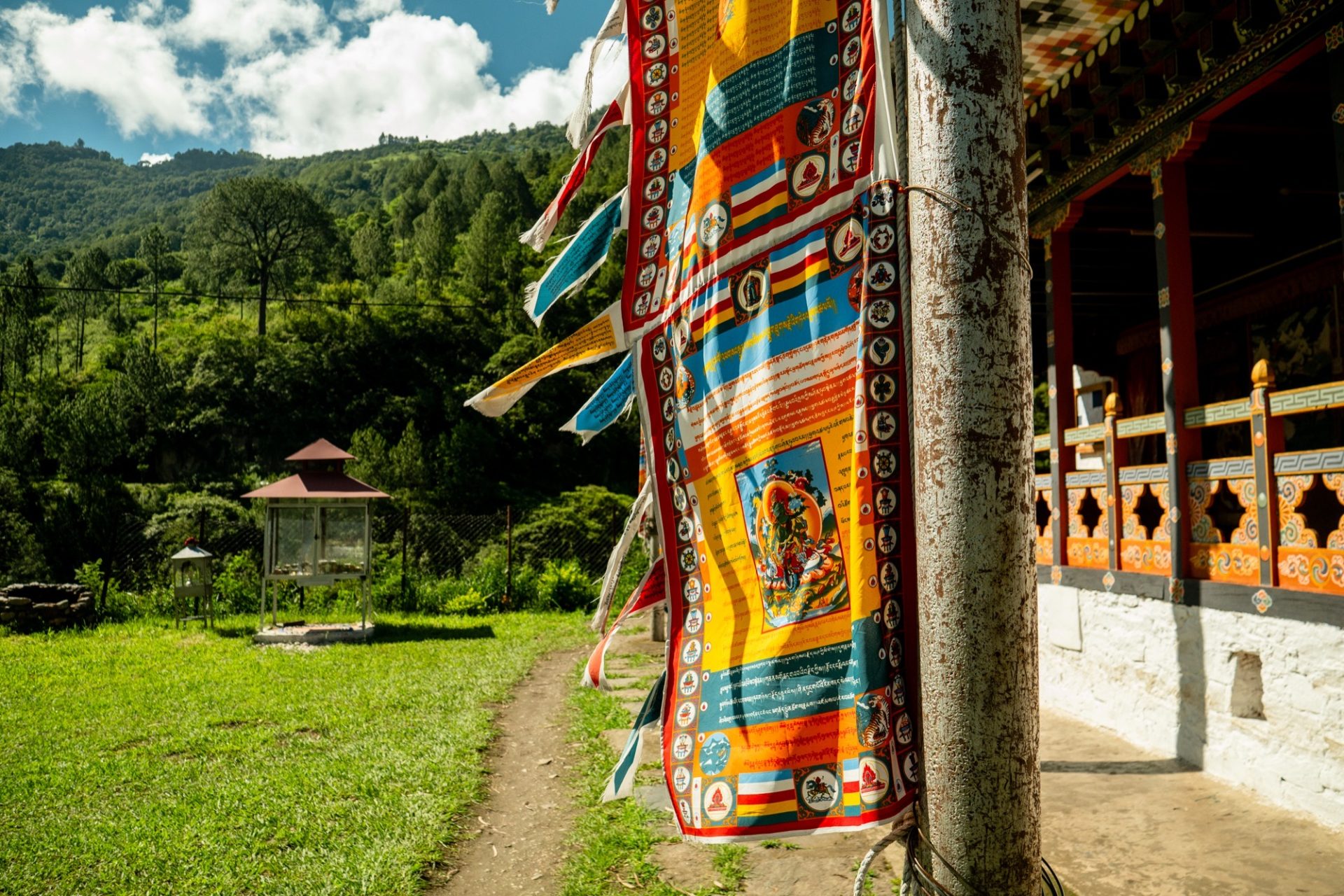 10-Day Cultural Tour photo