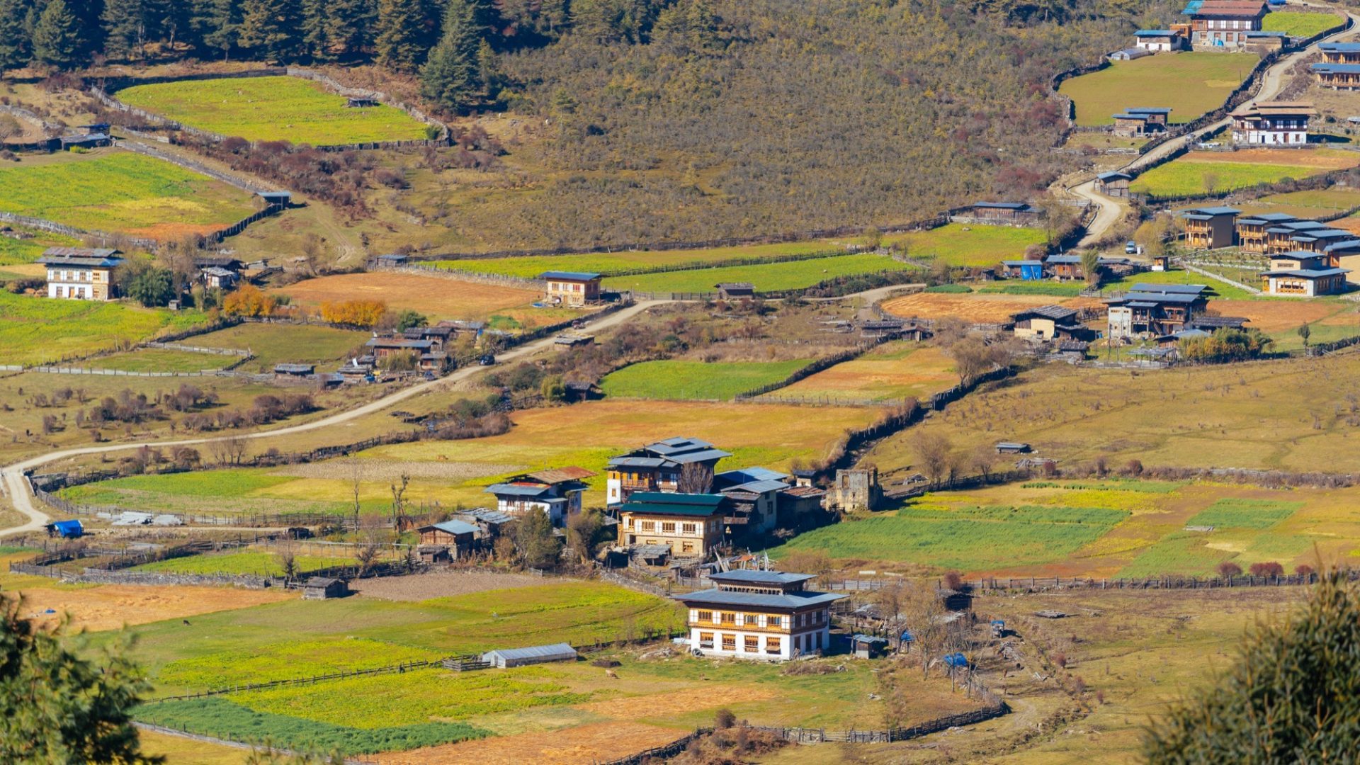5-Day Western Bhutan photo