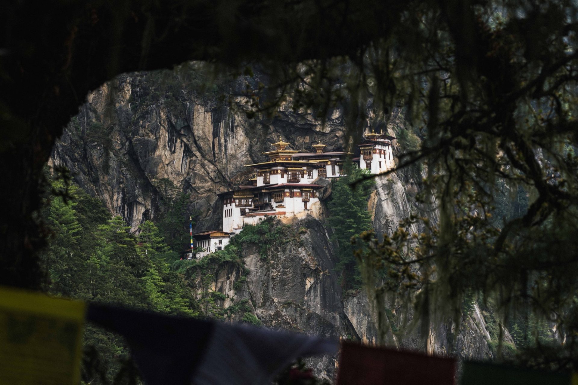 Bumdra Trek