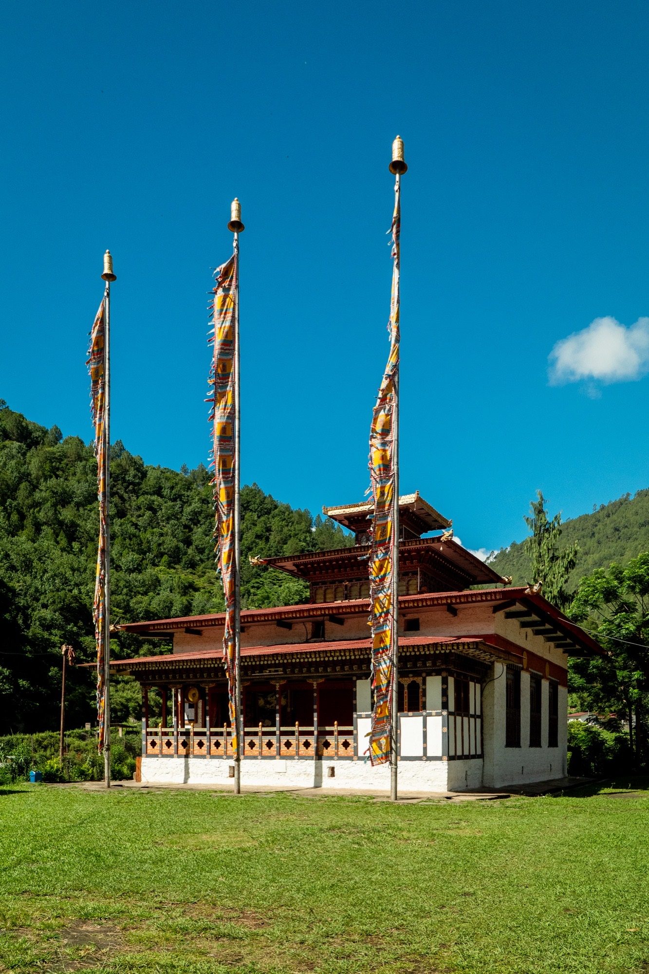 10-Day Cultural Tour photo