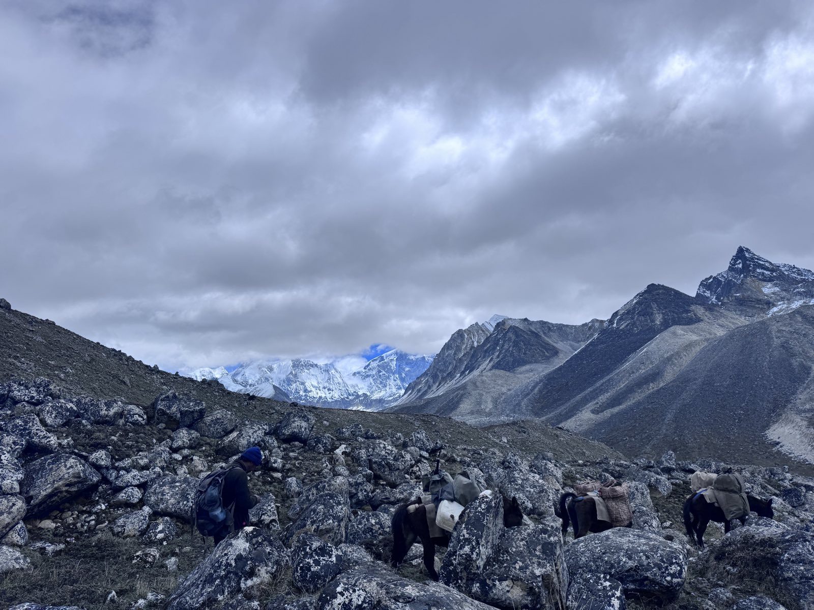 Trekkers and pack animals crossing high open ground