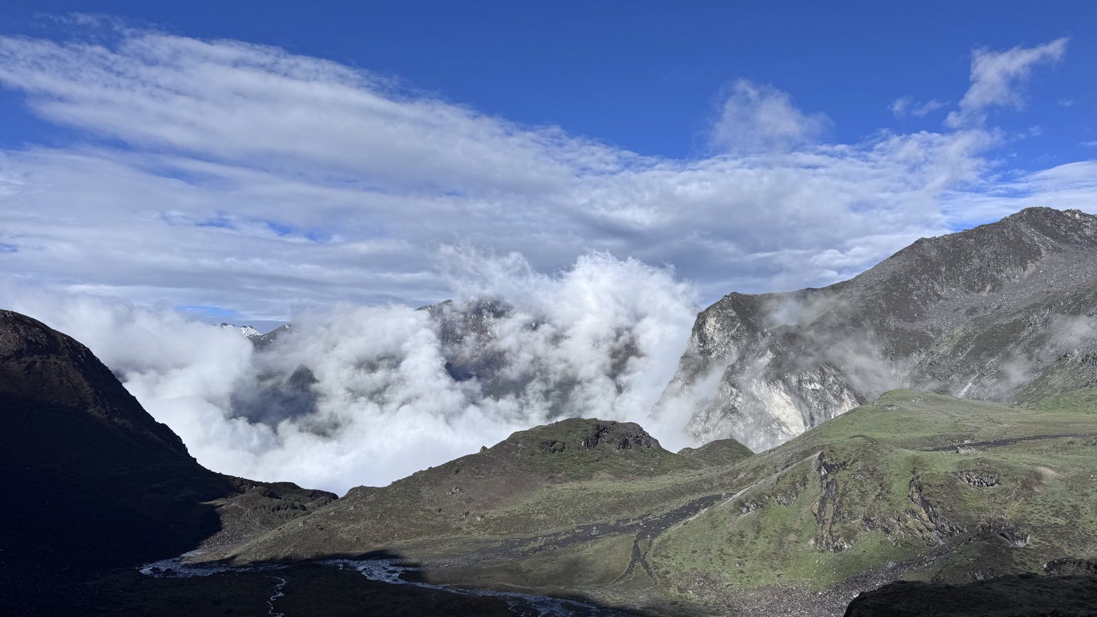 A pack train on a remote Bhutan trek